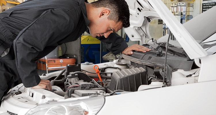 Transmission Check-Up